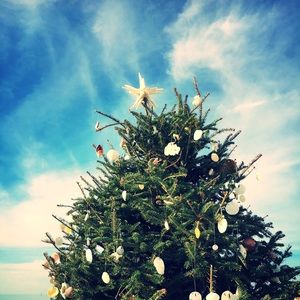 Meet your Posher, Sheri